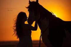 d94b0c0c-54ad-4bbb-8838-71c27df361f7